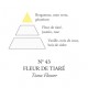Huile Parfumée Spray 50 ml logée dans un pochon